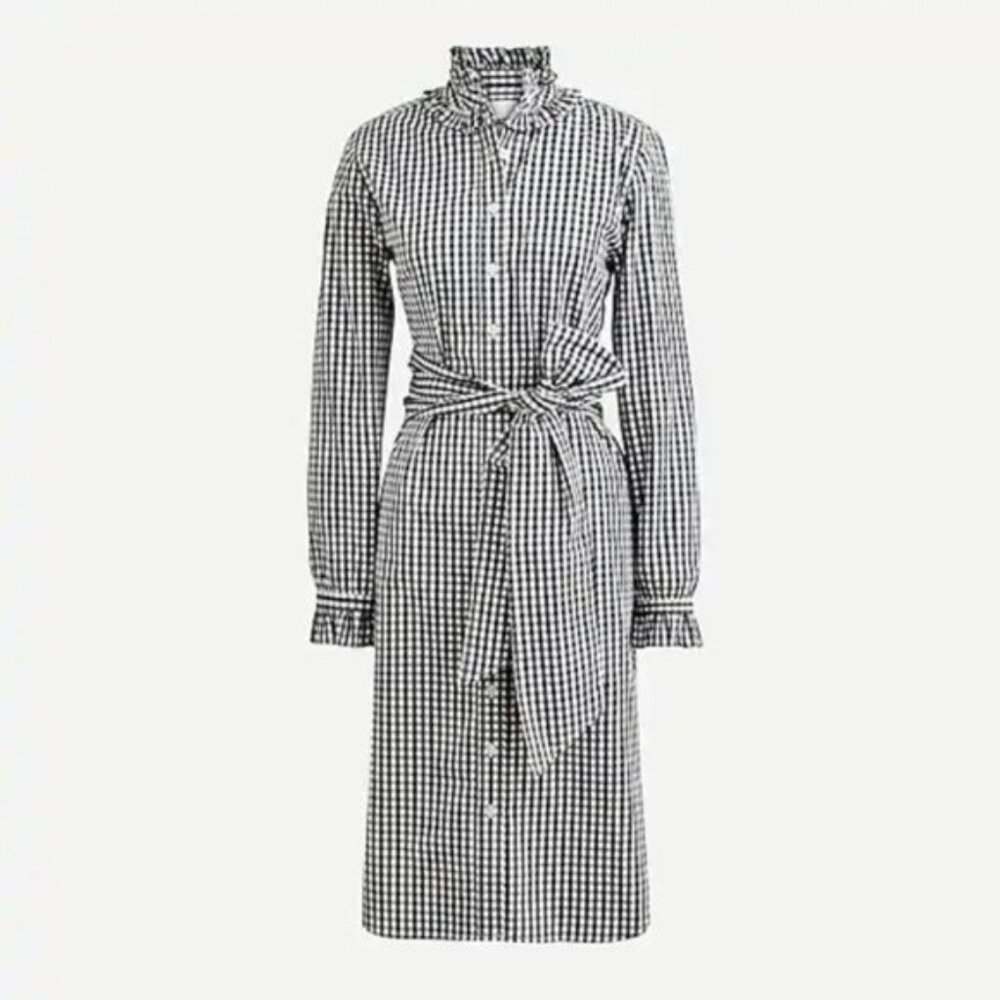J. Crew Ruffleneck Shirtdress